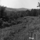 Hill Property, Mountain View