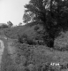 Hill Property, Farm Fields