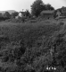 Whitcomb House and Barns
