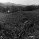 Whitcomb Property, Mountain View