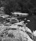Dam on River