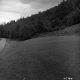 Forested Hills on Rural Highway