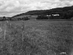 Andrews Property, Farm Fields