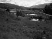 Andrews Property, Farm Fields