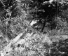 Andrews Property, Spring