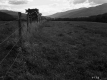 Andrews Property, Farm Fields