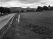Andrews Property, Farm Fields