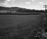Wheeler Property, Farm Fields