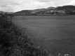 Wheeler Property, Farm Fields