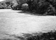 Wheeler Property, Farm Fields