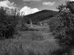 Wheeler Property, Barns and Farm Fields