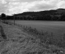 Wheeler Property, Farm Fields