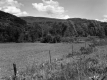 Wheeler Property, Farm Fields