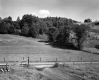 Wheeler Property, Farm Fields