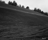 West View of Slope Tracks in Foreground