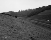 Southeast View of Road Construction