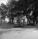 Alburg Road Signs La Motte Right with Car