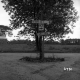 Alburg Road Sign with Barn