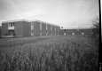 Building in Randolph