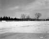 East View of Wooden Poles and Fence