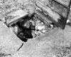 Howard Property Well Closeup