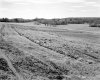 Howard Property Large Meadow