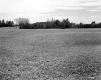 Howard Property Large Meadow Up Hill