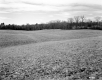 Howard Property Large Meadow Down Hill