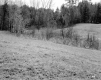 Howard Property Meadow with Shrubs Centered