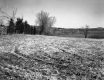 Field surrounded by Fence