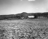 Farm Buildings in Field