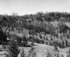 Divided Landscape
