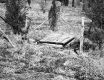 Wooden Plank Next to Wood and Wire Fence