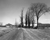 Dirt Road and Farm Buildings