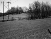 Utility Lines above Field