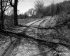 Dirt Road in Rural Area