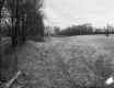 Field Surrounded by Trees on Rt. 15