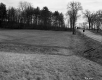 Field next to Paved Road Lined by Trees