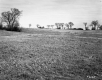 Field with Trees in Distance