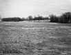 Field with Trees and Roadway