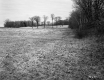 Field and Roadway