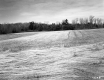 Field 100 Ft Right of Ramp A on I-89