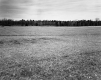 Vast Field with Trees Looking Northwest towards Route 2
