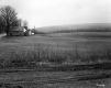 Sugaring Property in Belvidere
