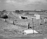 I89 South Burlington Before Plantings
