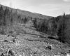 Cleared Field for Roadway Construction in Worcester