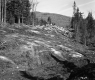 Area Cleared for Roadway Construction