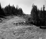 Cleared Area for Roadway Construction in Elmore