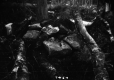 Earth Material