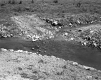 Area Near Cattle Pass and Bridge at I-89